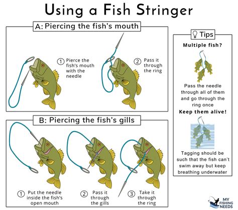 How To Use A Fish Stringer (Easy Explanation W/Tips).